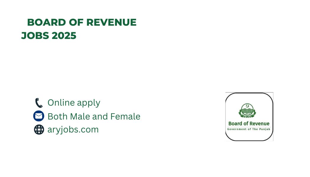Board of Revenue Jobs 2025